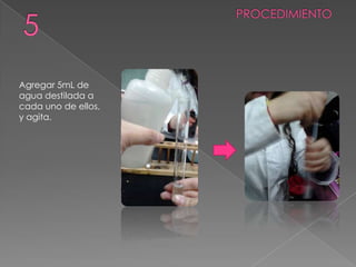 Agregar 5mL de
agua destilada a
cada uno de ellos,
y agita.
 