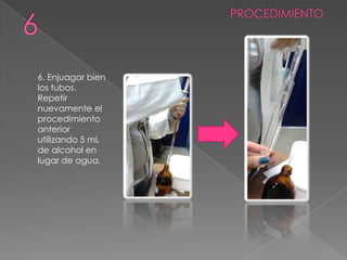 6. Enjuagar bien
los tubos.
Repetir
nuevamente el
procedimiento
anterior
utilizando 5 mL
de alcohol en
lugar de agua.
 
