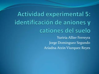 Yuriria Allier Ferreyra
Jorge Dominguez Segundo
Ariadna Atzin Viurquez Reyes

 