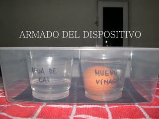 ARMADO DEL DISPOSITIVO 