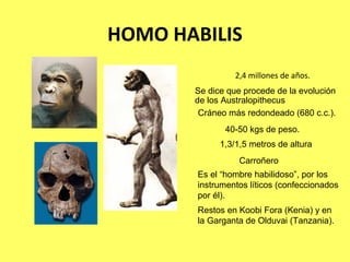 El origen y la evolución del hombre | PPT