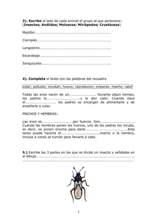 3). Escribe al lado de cada animal el grupo al que pertenece: 
(Insectos; Anélidos; Moluscos; Miriápodos; Crustáceos) 
Mejillón……………………………………………………………………………. 
Ciempiés…………………………………………………………………………. 
Langostino………………………………………………………………………. 
Escarabajo………………………………………………………………………. 
Sanguijuela…………………………………………………………………….. 
4). Completa el texto con las palabras del recuadro 
volar; polluelo; incuban; huevo; reproducen; ovíparas; macho; calor 
Todas las aves nacen de un…………………………. Durante algún tiempo, 
los padres lo…………………………………y le dan calor. Cuando nace 
el…………………………….. los padres se encargan de alimentarle y de 
enseñarle a volar. 
2 
MACHOS Y HEMBRAS: 
Las aves se………………………………por huevos. Son…………………………………. 
Cuando las hembras ponen los huevos, uno de los padres los incuba, 
es decir, se ponen encima para darle………………………………………….Esta 
tarea puede hacerla el……………………................macho o la hembra, 
incluso a veces se turnan para llevarla a cabo. 
5.) Escribe las 3 partes en las que se divide un insecto y señálalas en 
el dibujo………………………………………………………………………………………………….. 
………………………………………………………………………………………………………………… 
 