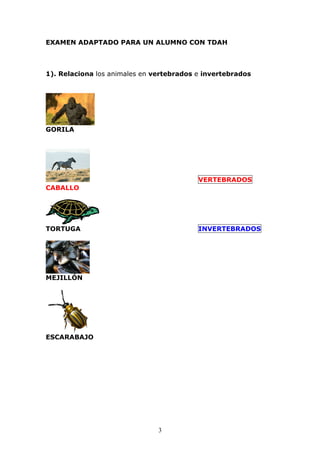 EXAMEN ADAPTADO PARA UN ALUMNO CON TDAH 
1). Relaciona los animales en vertebrados e invertebrados 
3 
GORILA 
VERTEBRADOS 
CABALLO 
TORTUGA INVERTEBRADOS 
MEJILLÓN 
ESCARABAJO 
 