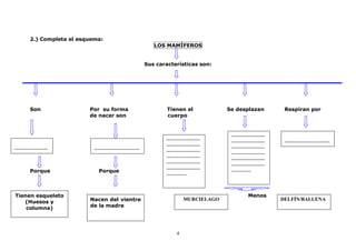 -------------------- 
-------------------- 
-------------------- 
-------------------- 
-------------------- 
-------------------- 
------------ 
4 
2.) Completa el esquema: 
LOS MAMÍFEROS 
Sus características son: 
Son Por su forma Tienen el Se desplazan Respiran por 
de nacer son cuerpo 
-------------------- 
----- 
--------------------------- 
---- 
Porque Porque 
-------------------- 
-------------------- 
-------------------- 
-------------------- 
-------------------- 
-------------------- 
------------ 
MeMMmmnos Menos 
--------------------------- 
---- 
Tienen esqueleto 
(Huesos y 
columna) 
Nacen del vientre 
de la madre 
DELFÍN/BALLENA 
MURCIELAGO 
 