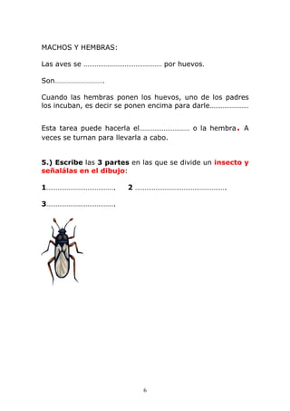 6 
MACHOS Y HEMBRAS: 
Las aves se …………………………………… por huevos. 
Son…………………………. 
Cuando las hembras ponen los huevos, uno de los padres 
los incuban, es decir se ponen encima para darle………………… 
Esta tarea puede hacerla el……………………… o la hembra. A 
veces se turnan para llevarla a cabo. 
5.) Escribe las 3 partes en las que se divide un insecto y 
señalálas en el dibujo: 
1………………………………. 2 …………………………………………. 
3………………………………. 
 