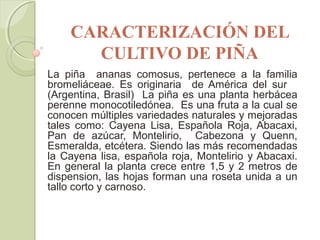 Actividad final de reconocimiento | PPT