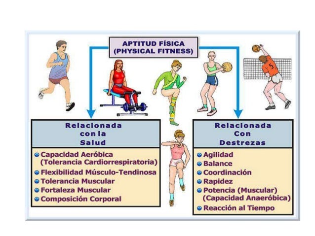 Actividad fisica