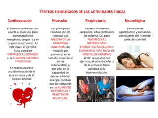 EFECTOS FISIOLOGICOS DE LAS ACTIVIDADES FISICAS
Cardiovascular Muscular Respiratorio Neurológico
El sistema cardiovascular
aporta al músculo, para
su metabolismo
energético, sangre rica en
oxígeno y nutrientes. En
este nivel, el ejercicio
físico aeróbico
FORTALECE EL CORAZON
y la FUNCION CARDIACA
Y VASCULAR
En reposo aparece
una disminución de la
tasa cardíaca y de la
presión arterial.
Los principales
cambios son los
relativos a la
MEJORA DE LA
CAPACIDAD
FUNCIONAL del
músculo por
aumentos en el
tamaño muscular y
en las
mitocondrias y,
por ello, en la
capacidad de
extraer y liberar
energía, cambios
que se traducirán
en un AUMENTO
DE POTENCIA Y
RESISTENCIA
MUSCULAR.
Aportar al torrente
sanguíneo altas cantidades
de oxígeno (O,) para
FAVORECER EL
METABOLISMO
ENERGETICO MUSCULAR y
ELIMINAR EL ALTO NIVEL DE
DIOXIDO DE CARBONO
(CO2) resultante del
ejercicio, el principal efecto
de la actividad física
aeróbica es la
hiperventilación.
Sensación de
agotamiento y cansancio,
alteraciones del ritmo del
sueño (insomnio).
 
