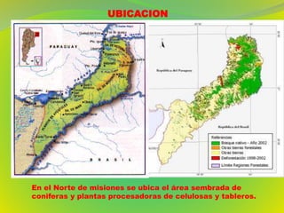 UBICACION
En el Norte de misiones se ubica el área sembrada de
coniferas y plantas procesadoras de celulosas y tableros.
 
