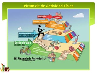 Pirámide de Actividad Física
 