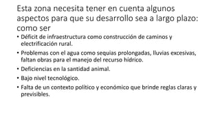 Esta zona necesita tener en cuenta algunos
aspectos para que su desarrollo sea a largo plazo:
como ser
• Déficit de infraestructura como construcción de caminos y
electrificación rural.
• Problemas con el agua como sequias prolongadas, lluvias excesivas,
faltan obras para el manejo del recurso hídrico.
• Deficiencias en la santidad animal.
• Bajo nivel tecnológico.
• Falta de un contexto político y económico que brinde reglas claras y
previsibles.
 