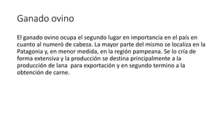 Ganado ovino
El ganado ovino ocupa el segundo lugar en importancia en el país en
cuanto al numeró de cabeza. La mayor parte del mismo se localiza en la
Patagonia y, en menor medida, en la región pampeana. Se lo cría de
forma extensiva y la producción se destina principalmente a la
producción de lana para exportación y en segundo termino a la
obtención de carne.
 