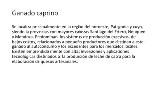Ganado caprino
Se localiza principalmente en la región del noroeste, Patagonia y cuyo,
siendo la provincias con mayores cabezas Santiago del Estero, Neuquén
y Mendoza. Predominan los sistemas de producción excesivos, de
bajos costos, relacionados a pequeño productores que destinan a este
ganado al autoconsumo y los excedentes para los mercados locales.
Existen emprendida mente con altas inversiones y aplicaciones
tecnológicas destinados a la producción de leche de cabra para la
elaboración de quesos artesanales.
 
