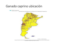Ganado caprino ubicación
 