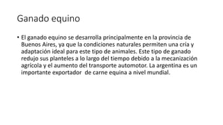 Ganado equino
• El ganado equino se desarrolla principalmente en la provincia de
Buenos Aires, ya que la condiciones naturales permiten una cría y
adaptación ideal para este tipo de animales. Este tipo de ganado
redujo sus planteles a lo largo del tiempo debido a la mecanización
agrícola y el aumento del transporte automotor. La argentina es un
importante exportador de carne equina a nivel mundial.
 