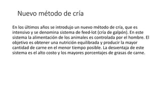 Nuevo método de cría
En los últimos años se introdujo un nuevo método de cría, que es
intensivo y se denomina sistema de feed-lot (cría de galpón). En este
sistema la alimentación de los animales es controlada por el hombre. El
objetivo es obtener una nutrición equilibrada y producir la mayor
cantidad de carne en el menor tiempo posible. La desventaja de este
sistema es el alto costo y los mayores porcentajes de grasas de carne.
 