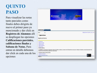 QUINTO
PASO
Para visualizar las notas
tanto parciales como
finales debes dirigirte de
nuevo al primer paso ya
mencionado y dar click en
Registros de Alumnos allí
se despliegan las opciones
Calificaciones parciales,
calificaciones finales y
Sabana de Notas. Para
entrar en detalle debemos
dar click en cada una de los
opciones
 