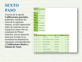 SEXTO
PASO
A través de la opción
Calificaciones parciales,
podremos visualizar las
notas de la siguiente
manera, es decir aparecerán
todas las materias con sus
respectivas notas. Por ser
estudiante de Primer
semestre, aun no aparecen
notas por lo tanto no se
mostraran las diapositivas
siguientes correspondientes
a Calificaciones finales y
Sabana de Notas.
 