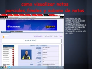 como visualizar notas
parciales,finales y sabana de notas
después de entrar a
génesis buscas la opción
ALUMNO Y AYUDA
FINANCIERA ubicada en la
parte superior izquierda
al lado derecho de
información personal y le
das click.
 