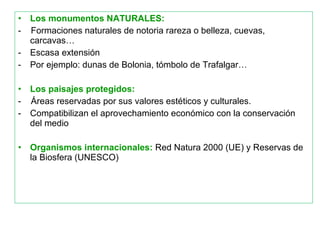 • Los monumentos NATURALES:
- Formaciones naturales de notoria rareza o belleza, cuevas,
carcavas…
- Escasa extensión
- Por ejemplo: dunas de Bolonia, tómbolo de Trafalgar…
• Los paisajes protegidos:
- Áreas reservadas por sus valores estéticos y culturales.
- Compatibilizan el aprovechamiento económico con la conservación
del medio
• Organismos internacionales: Red Natura 2000 (UE) y Reservas de
la Biosfera (UNESCO)
 