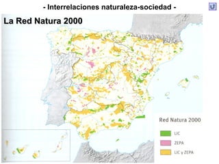 - Interrelaciones naturaleza-sociedad -
La Red Natura 2000La Red Natura 2000
 