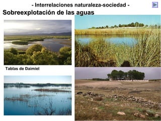 - Interrelaciones naturaleza-sociedad -
Sobreexplotación de las aguasSobreexplotación de las aguas
Tablas de Daimiel
 