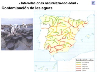 - Interrelaciones naturaleza-sociedad -
Contaminación de las aguasContaminación de las aguas
 