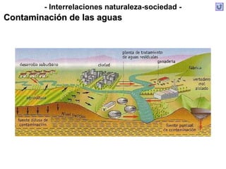 - Interrelaciones naturaleza-sociedad -
Contaminación de las aguasContaminación de las aguas
 