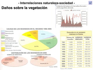 - Interrelaciones naturaleza-sociedad -
Daños sobre la vegetaciónDaños sobre la vegetación
 