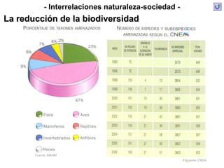 - Interrelaciones naturaleza-sociedad -
La reducción de la biodiversidadLa reducción de la biodiversidad
 
