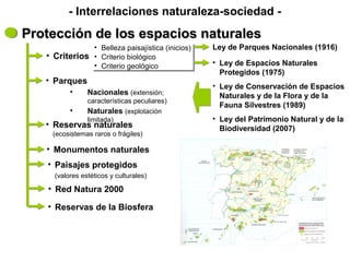 Protección de los espacios naturalesProtección de los espacios naturales
• Criterios
• Belleza paisajística (inicios)
• Criterio biológico
• Criterio geológico
• Belleza paisajística (inicios)
• Criterio biológico
• Criterio geológico
- Interrelaciones naturaleza-sociedad -
• Parques
• Nacionales (extensión;
características peculiares)
• Naturales (explotación
limitada)
• Reservas naturales
(ecosistemas raros o frágiles)
Ley de Parques Nacionales (1916)
• Ley de Espacios Naturales
Protegidos (1975)
• Ley de Conservación de Espacios
Naturales y de la Flora y de la
Fauna Silvestres (1989)
• Ley del Patrimonio Natural y de la
Biodiversidad (2007)
• Monumentos naturales
• Paisajes protegidos
(valores estéticos y culturales)
• Red Natura 2000
• Reservas de la Biosfera
 