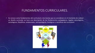 El currículo. origen y definición. fundamentos curriculares.