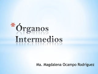 *
Ma. Magdalena Ocampo Rodríguez

 