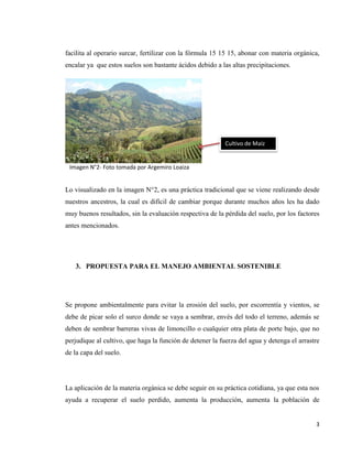 3
facilita al operario surcar, fertilizar con la fórmula 15 15 15, abonar con materia orgánica,
encalar ya que estos suelos son bastante ácidos debido a las altas precipitaciones.
Imagen N°2- Foto tomada por Argemiro Loaiza
Lo visualizado en la imagen N°2, es una práctica tradicional que se viene realizando desde
nuestros ancestros, la cual es difícil de cambiar porque durante muchos años les ha dado
muy buenos resultados, sin la evaluación respectiva de la pérdida del suelo, por los factores
antes mencionados.
3. PROPUESTA PARA EL MANEJO AMBIENTAL SOSTENIBLE
Se propone ambientalmente para evitar la erosión del suelo, por escorrentía y vientos, se
debe de picar solo el surco donde se vaya a sembrar, envés del todo el terreno, además se
deben de sembrar barreras vivas de limoncillo o cualquier otra plata de porte bajo, que no
perjudique al cultivo, que haga la función de detener la fuerza del agua y detenga el arrastre
de la capa del suelo.
La aplicación de la materia orgánica se debe seguir en su práctica cotidiana, ya que esta nos
ayuda a recuperar el suelo perdido, aumenta la producción, aumenta la población de
Cultivo de Maíz
 
