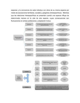 especies y la convivencia de cada individuo con otros de su misma especie por
medio de asociaciones familiares, sociales y gregarias (intraespecíficas). Mientras
que las relaciones Interespecíficas se presentan cuando una especie influye de
determinada manera en la vida de otra especie, cuyas consecuencias son
fluctuaciones en ambas poblaciones y adaptación mutua.
Depredación
Parasitismo
Mutualismo
Comensalismo
Simbiosis
Competencia
Relaciones ecológicas
interespecíficas
Un individuo de una especie mata a otro de otra
especie para alimentarse
Un organismo de una especie se beneficia sobre
otra perjudicándola pero no le produce la muerte
Una especie se beneficia de otra sin causarle
perjuicio o beneficio alguno
Ambas especies se benefician y no pueden vivir
separadas
Pueden competir por el agua, el alimento, el
territorio, la luz
Dos especies diferentes se benefician mutuamente
La araña depreda la
mosca. La Lechuza del
búho
La pulga es parásito de los
caninos
Las aves hacen sus nidos
en ramas de árboles
Las bacterias que viven en
las raíces de las plantas
Las abejas se alimentan del
néctar y polinizan las flores
Los gorriones y las
palomas compiten por el
alimento
Amensalismo Una especia perjudica a otra sin obtener beneficio
Hongos que producen
antibióticos que destruyen
a las bacterias
Familia
Gregaria
Estatal
Colonial
Relaciones
ecológicas
intraespecíficas
Por grado de parentesco protegen y cuidan sus
crías
Individuos de diferentes especiespero con
objetivos de protección mutua frente a los
depredadores y búsqueda de alimento
Divisióndel trabajo creando una dependencia tan
estrecha que ninguno podría sobrevivir aislado
La población de individuos entre sí forman un
organismo común
Focas, patos,
anfibios y
reptiles
Las aves
Abejas y
hormigas
Corales
Cooperación
Cuando en un determinado hábitat los recursos son escasos en relación con una poblaciónde individuos, éstos
compiten entre sí por dichos recursos. Esta competencia tiene necesariamente efectos sobre algunos de ellos,
debilidad,disminución de la actividad reproductora e incluso la muerte
Competencia
 