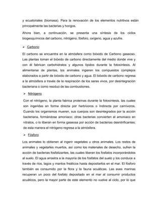 y ecuatoriales (biomasa). Para la renovación de los elementos nutritivos están
principalmente las bacterias y hongos.
Ahora bien, a continuación, se presenta una síntesis de los ciclos
biogeoquímicos del carbono, nitrógeno, fósforo, oxígeno, agua y azufre.
 Carbono
El carbono se encuentra en la atmósfera como bióxido de Carbono gaseoso.
Las plantas toman el bióxido de carbono directamente del medio donde vive y
con él fabrican carbohidratos y algunos lípidos durante la fotosíntesis. Al
alimentarse de plantas, los animales ingieren los compuestos complejos
elaborados a partir de bióxido de carbono y agua. El bióxido de carbono regresa
a la atmósfera a través de la respiración de los seres vivos, por desintegración
bacteriana o como residuo de las combustiones.
 Nitrógeno
Con el nitrógeno, la planta fabrica proteínas durante la fotosíntesis, las cuales
son ingeridas en forma directa por herbívoros o Indirecta por carnívoros.
Cuando los organismos mueren, sus cuerpos son desintegrados por la acción
bacteriana, formándose amoniaco; otras bacterias convierten el amoniaco en
nitratos, o lo liberan en forma gaseosa por acción de bacterias desnitrificantes;
de esta manera el nitrógeno regresa a la atmósfera.
 Fósforo
Los animales lo obtienen al ingerir vegetales u otros animales. Los restos de
animales y vegetarles muertos, así como los materiales de desecho, sufren la
acción de bacterias fosfatizantes, las cuales liberan los fosfatos incorporándolos
al suelo. El agua arrastra a la mayoría de los fosfatos del suelo y los conduce a
través de ríos, lagos y mantos freáticos hasta depositarlos en el mar. El fósforo
también es consumido por la flora y la fauna acuáticas. Las aves marinas
recuperan un poco del fosfato depositado en el mar al consumir productos
acuáticos, pero la mayor parte de este elemento no vuelve al ciclo, por lo que
 