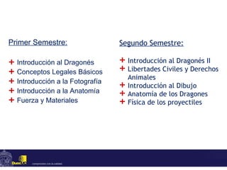 Primer Semestre: Introducción al Dragonés Conceptos Legales Básicos Introducción a la Fotografía Introducción a la Anatomía Fuerza y Materiales Segundo Semestre: Introducción al Dragonés II Libertades Civiles y Derechos Animales Introducción al Dibujo Anatomía de los Dragones Física de los proyectiles 