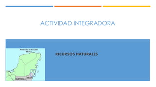 ACTIVIDAD INTEGRADORA 
RECURSOS NATURALES 
 