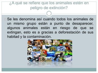 ¿A qué se refiere que los animales estén en
peligro de extinción?
Se les denomina así cuando todos los animales de
un mismo grupo están a punto de desaparecer,
algunos animales están en riesgo de que se
extingan, esto es a gracias a deforestación de sus
habitad y la contaminación.
 