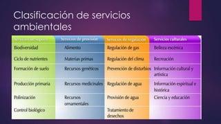 Clasificación de servicios
ambientales
 