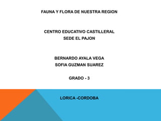 FAUNA Y FLORA DE NUESTRA REGION



 CENTRO EDUCATIVO CASTILLERAL
         SEDE EL PAJON



     BERNARDO AYALA VEGA
     SOFIA GUZMAN SUAREZ


           GRADO - 3



       LORICA -CORDOBA
 