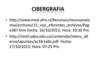 • http://www.med.ufro.cl/Recursos/neuroanato
mia/archivos/15_vias_eferentes_archivos/Pag
e387.htm Fecha: 16/10/2013, Hora: 10:30 Pm.
• http://viref.udea.edu.co/contenido/menu_alt
erno/apuntes/ac18-tallo.pdf Fecha:
17/10/2013, Hora: 07:25 Pm.

 
