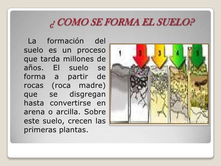 el suelo, composicion y formacion