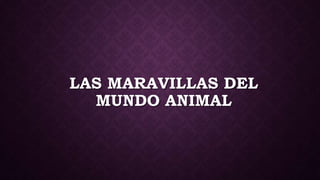 LAS MARAVILLAS DEL
MUNDO ANIMAL
 