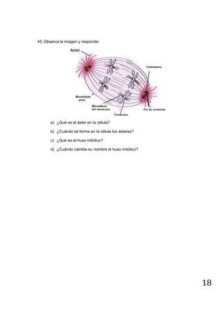18
45. Observa la imagen y responde:
a) ¿Qué es el áster en la célula?
b) ¿Cuándo se forma en la célula los ásteres?
c) ¿Qué es el huso mitótico?
d) ¿Cuándo cambia su nombre el huso mitótico?
 