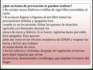 ¿Qué acciones de prevención se pueden realizar?
• No arrojar nunca fósforos o colillas de cigarrillos encendidas al
suelo.
• Si se hacen fogatas o fogones al aire libre tomar las
precauciones debidas y apagarlas bien
cuando ya no los necesite. Evitar las quemas de desechos
agrícolas y/o forestales durante los
meses de enero y febrero. Si se hacen, vigilarlas hasta que estén
bien apagadas. Para quemar
debe dar aviso en las oficinas receptoras de CONAF y respetar las
horas y fechas que indique
el comprobante de aviso.
• En los cultivos y viviendas, despejar de vegetación el terreno
para dejar espacios que sirvan
de barreras, denominados cortafuegos, que impidan el avance del
fuego.
 