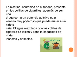 La nicotina, contenida en el tabaco, presente
en las colillas de cigarrillos, además de ser
una
droga con gran potencia adictiva es un
veneno muy poderoso que puede matar a un
niño o
niña. El agua mezclada con las colillas de
cigarrillo es tóxica y tiene la capacidad de
matar
insectos y animales.
 