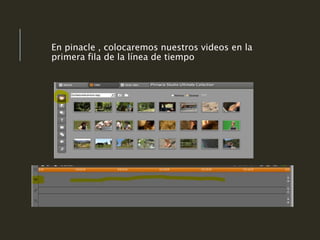 En pinacle , colocaremos nuestros videos en la
primera fila de la línea de tiempo
 
