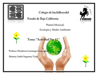 Plantel Mexicali
Ecología y Medio Ambiente
 