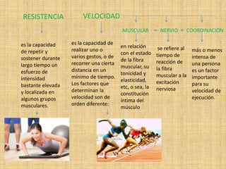 RESISTENCIA 
es la capacidad 
de repetir y 
sostener durante 
largo tiempo un 
esfuerzo de 
intensidad 
bastante elevada 
y localizada en 
algunos grupos 
musculares. 
VELOCIDAD 
es la capacidad de 
realizar uno o 
varios gestos, o de 
recorrer una cierta 
distancia en un 
mínimo de tiempo. 
Los factores que 
determinan la 
velocidad son de 
orden diferente: 
MUSCULAR NERVIO COORDINACIÓN 
en relación 
con el estado 
de la fibra 
muscular, su 
tonicidad y 
elasticidad, 
etc, o sea, la 
constitución 
íntima del 
músculo 
se refiere al 
tiempo de 
reacción de 
la fibra 
muscular a la 
excitación 
nerviosa 
más o menos 
intensa de 
una persona 
es un factor 
importante 
para su 
velocidad de 
ejecución. 
 